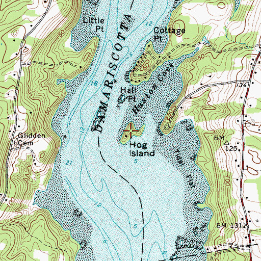 Topographic Map of Hog Island, ME