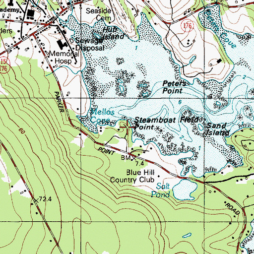 Topographic Map of Steamboat Field Point, ME