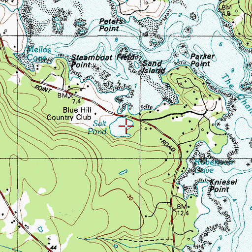 Topographic Map of Salt Pond, ME