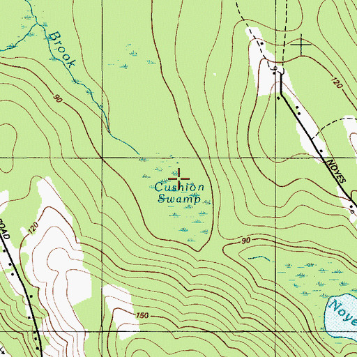 Topographic Map of Cushion Swamp, ME