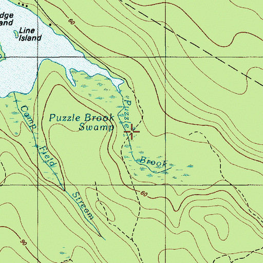 Topographic Map of Puzzle Brook Swamp, ME