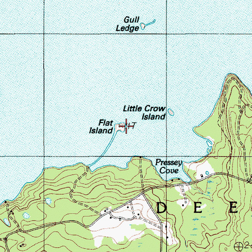 Topographic Map of Flat Island, ME