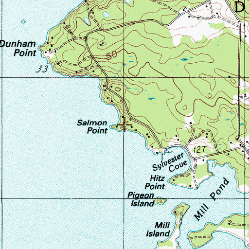Topographic Map of Salmon Point, ME