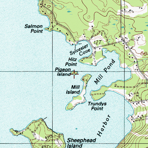 Topographic Map of Pigeon Island, ME