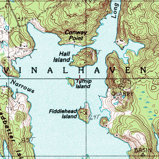 Topographic Map of Turnip Island, ME