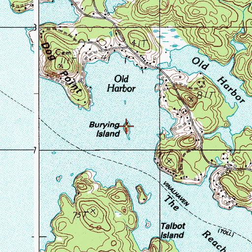 Topographic Map of Burying Island, ME