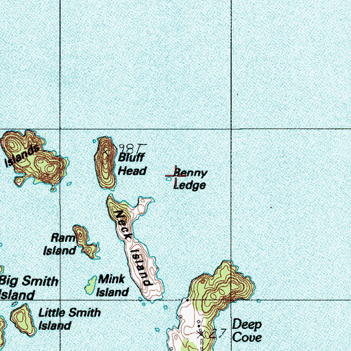Topographic Map of Benny Ledge, ME