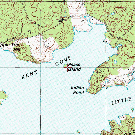 Topographic Map of Pease Island, ME