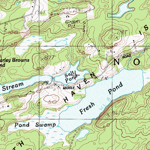 Topographic Map of Salt Pond, ME