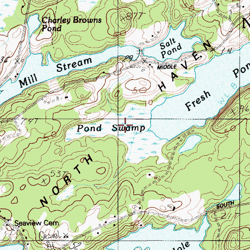 Topographic Map of Pond Swamp, ME