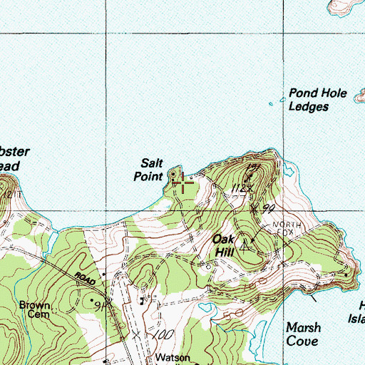 Topographic Map of Salt Point, ME