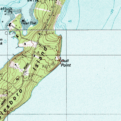 Topographic Map of Gull Point, ME