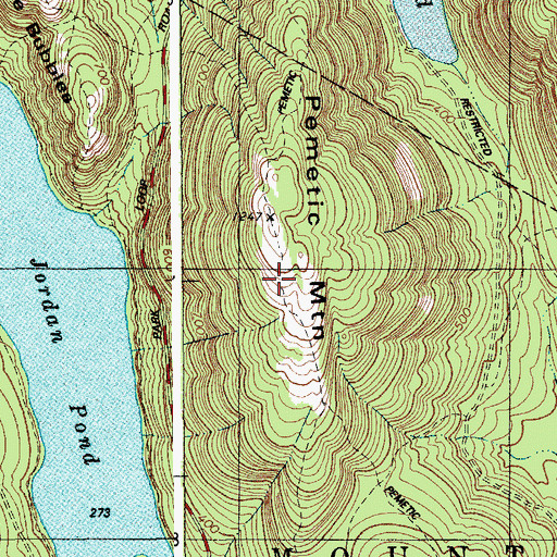 Topographic Map of Pemetic Trail, ME