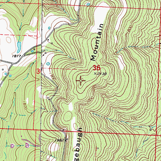 Topographic Map of Lingebaugh Mountain, AR