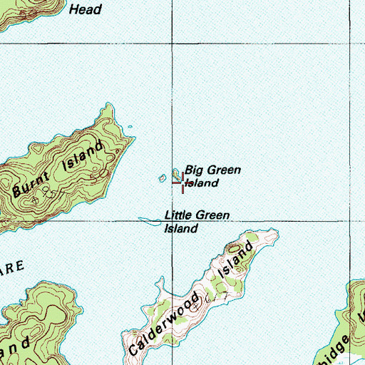 Topographic Map of Big Green Island, ME