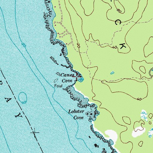 Topographic Map of Canes Cove, ME