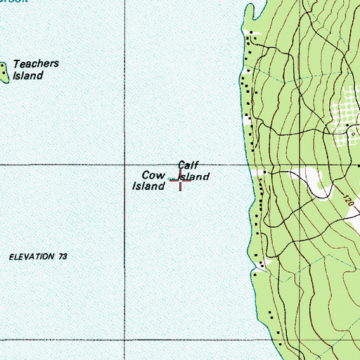 Topographic Map of Calf Island, ME