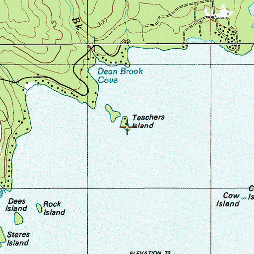 Topographic Map of Teachers Island, ME