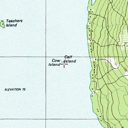 Topographic Map of Cow Island, ME