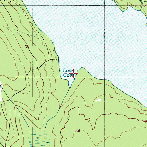 Topographic Map of Loon Cove, ME