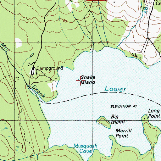 Topographic Map of Snake Island, ME