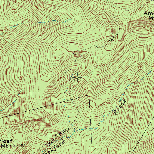 Topographic Map of Bickford Brook Trail, ME