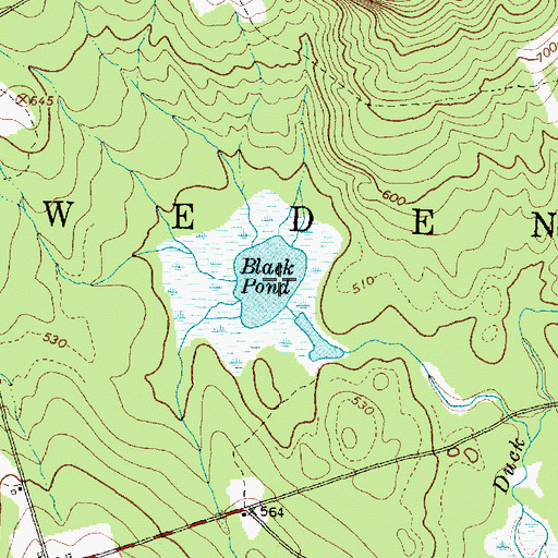 Topographic Map of Black Pond, ME