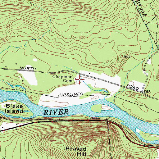 Topographic Map of Chapman Cemetery, ME