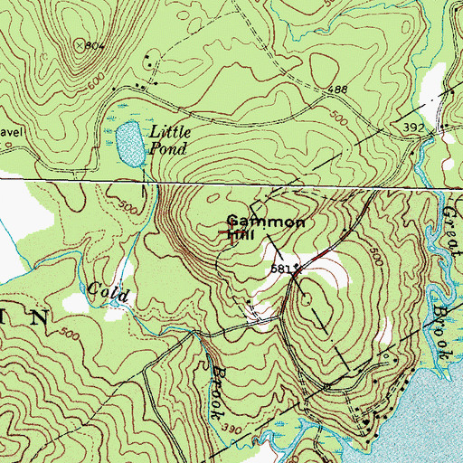 Topographic Map of Gammon Hill, ME