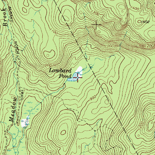 Topographic Map of Lombard Pond, ME