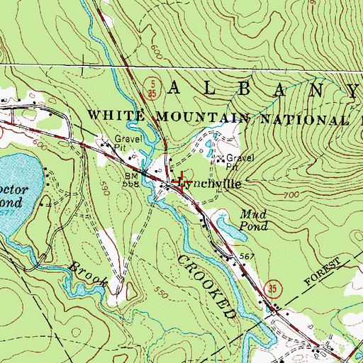Topographic Map of Lynchville, ME