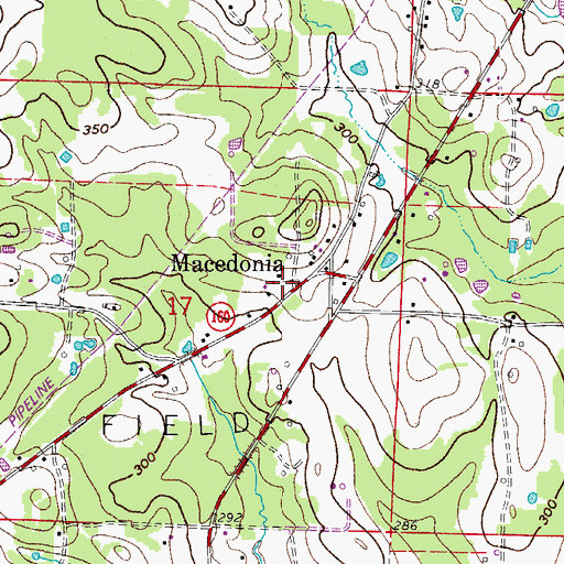 Topographic Map of Macedonia, AR