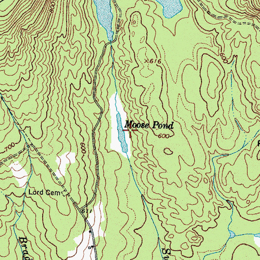 Topographic Map of Moose Pond, ME