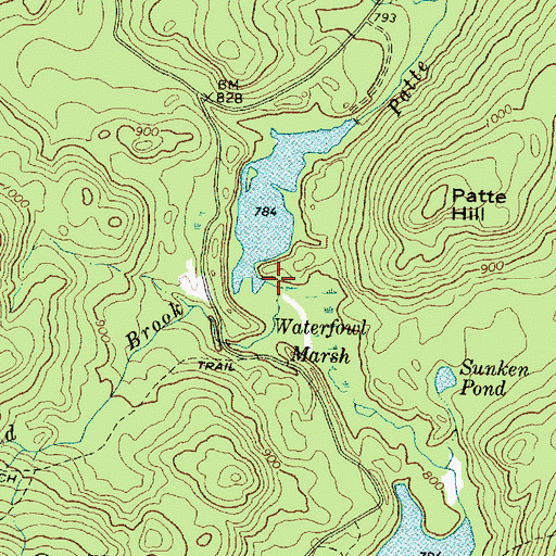 Topographic Map of New England Brook, ME