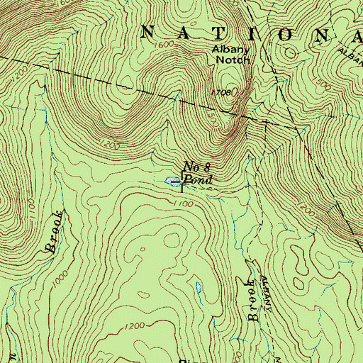 Topographic Map of Number Eight Pond, ME