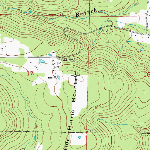 Topographic Map of Major Harris Mountain, AR