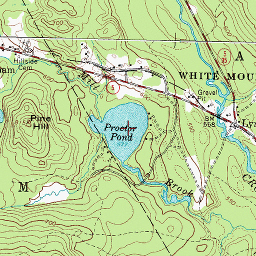 Topographic Map of Proctor Pond, ME