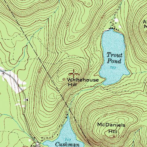 Topographic Map of Whitehouse Hill, ME