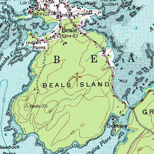 Topographic Map of Beals Island, ME