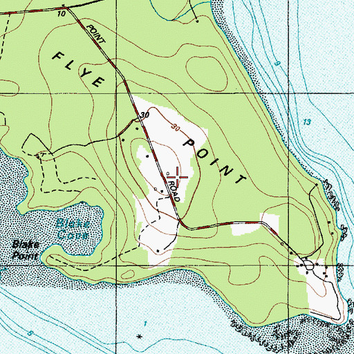 Topographic Map of Flye Point, ME