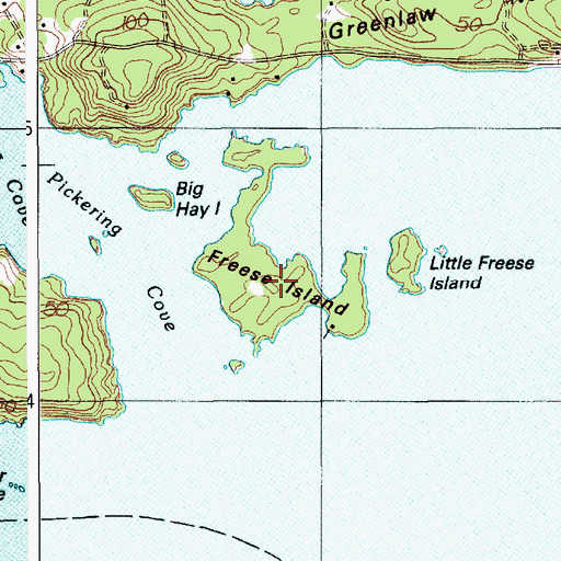 Topographic Map of Freese Island, ME