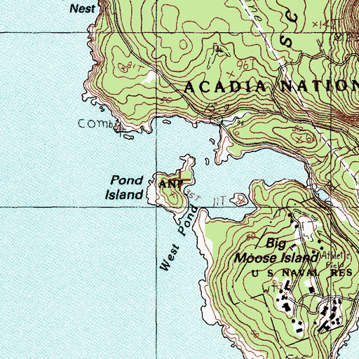 Topographic Map of Pond Island, ME