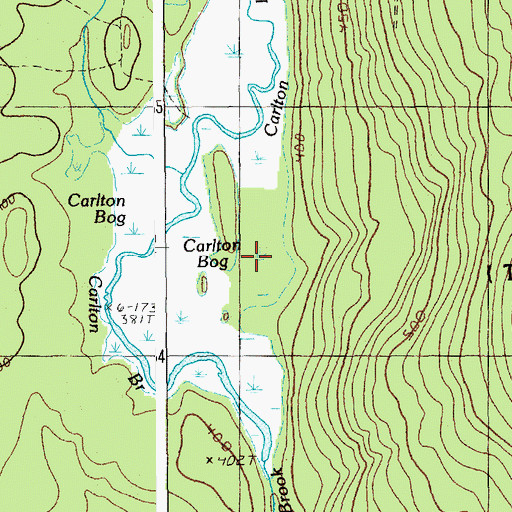 Topographic Map of Carlton Bog, ME