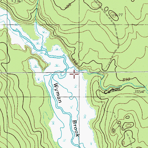 Topographic Map of Carlton Brook, ME