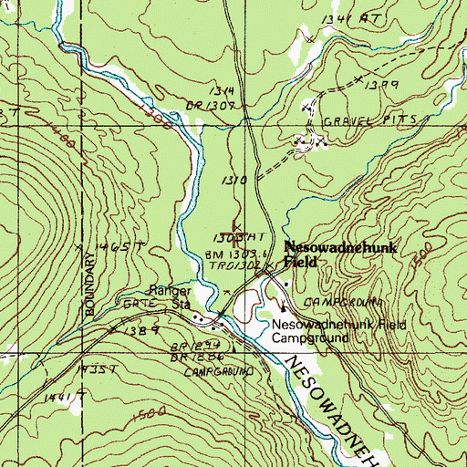 Topographic Map of Nesowaonehunk Field, ME