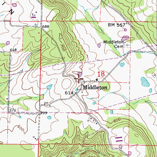 Topographic Map of Middleton, AR