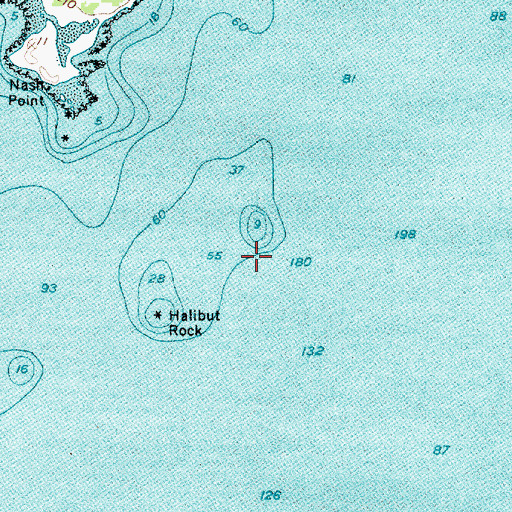 Topographic Map of False Halibut Rock, ME