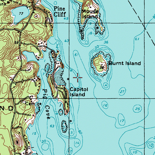 Topographic Map of Pig Island Ledge, ME