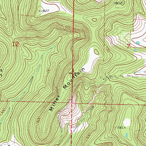 Topographic Map of Miller Mountain, AR