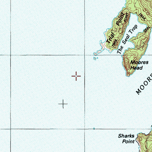 Topographic Map of Trial Point Ledge, ME